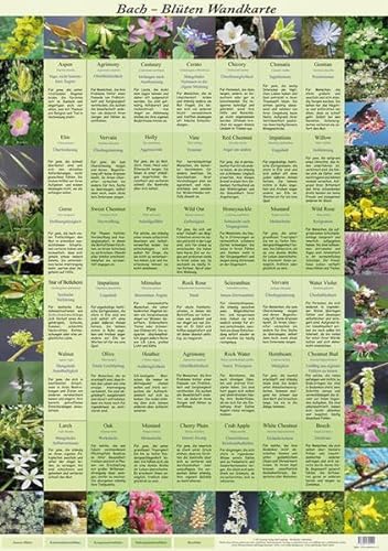 Bach Blüten Wandkarte von Isotrop-Verlag